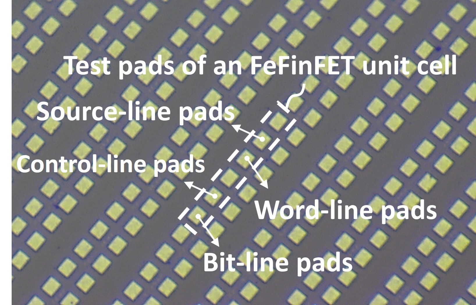 新型FeFinFET NVM陣列測試矩陣，由一千個FeFinFET NVM記憶體元件構建成，其中為了測量單顆元件的特性，俱備了Bit-line (位元線), Word-line (字元線), Control-line (控制線), Source-line (源極線), 等 金屬探針墊 (pad)，利用量測記錄記憶體各向電性特性與操作表現。電機系提供。