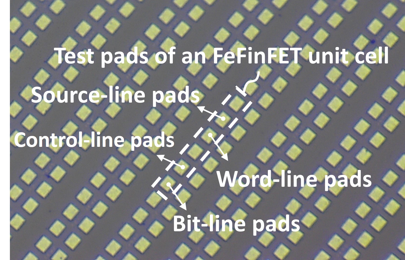 新型FeFinFET NVM陣列測試矩陣,由一千個FeFinFET NVM記憶體元件構建成,其中為了測量單顆元件的特性,俱備了Bit-line (位元線), Word-line (字元線), Control-line (控制線), Source-line (源極線), 等 金屬探針墊 (pad),利用量測記錄記憶體各向電性特性與操作表現。電機系提供。