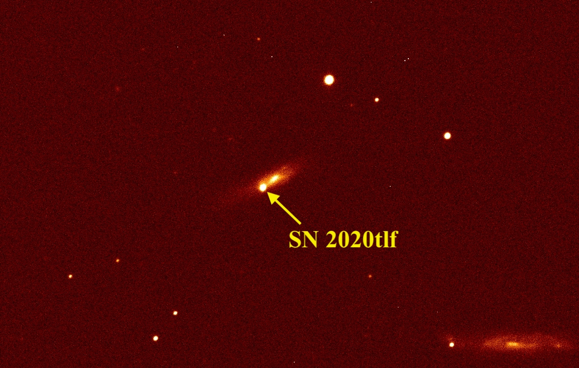 中央大學鹿林一米望遠鏡於所拍攝的影像，圖中黃色箭頭所標示的星體即為SN 2020tlf，所在星系為NGC 5731。照片天文所提供