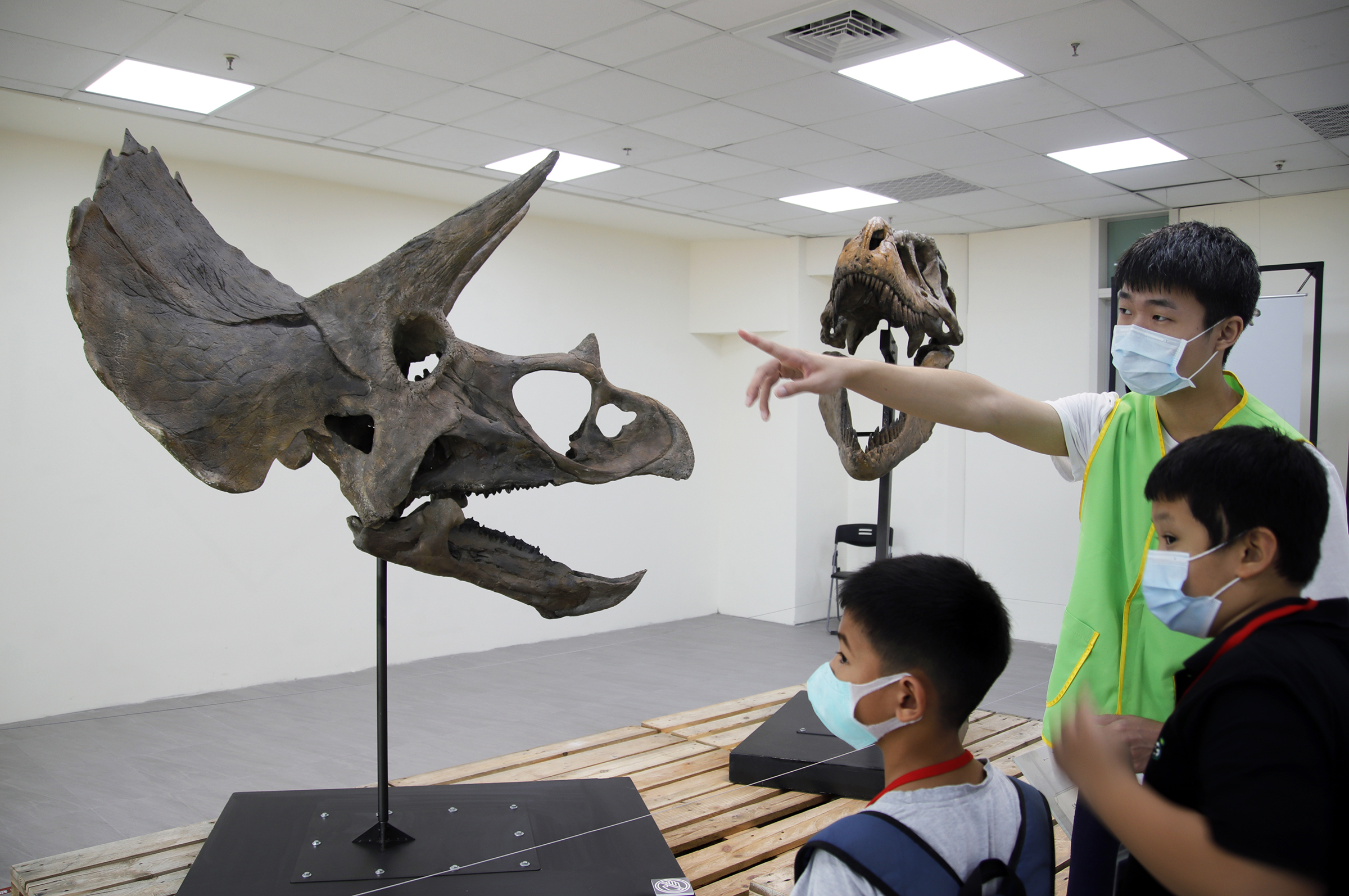 桃園天文嘉年華「恐龍與彗星展」在中央大學展出，吸引許多大小朋友前往參觀，還有大學生幫忙解說。陳如枝攝