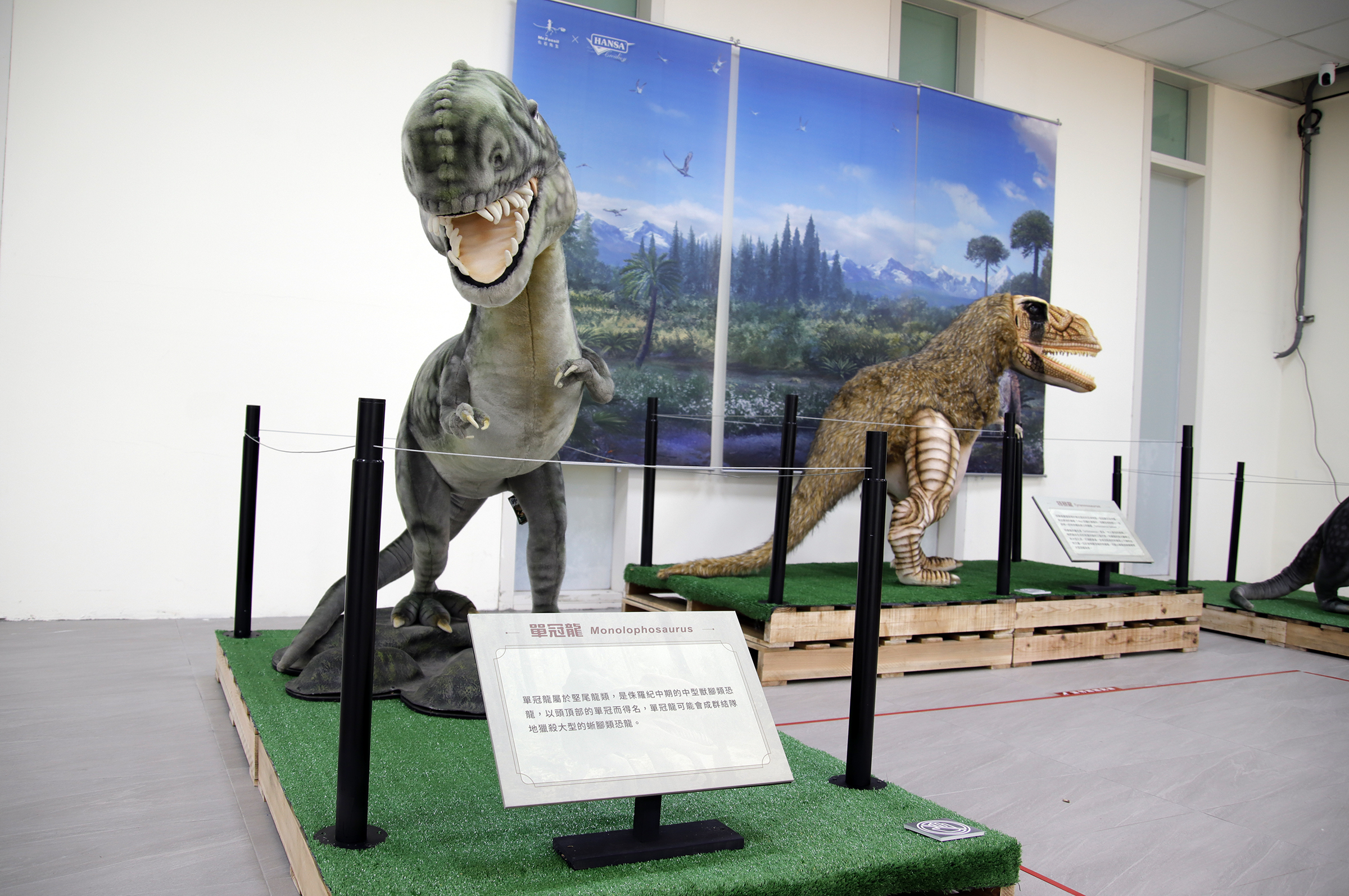 本次展出與國立自然科學博物館合作，共有8件古生物標本展出，包括侏儸紀及白堊紀特暴龍、三角龍，以及菊石化石。陳如枝攝