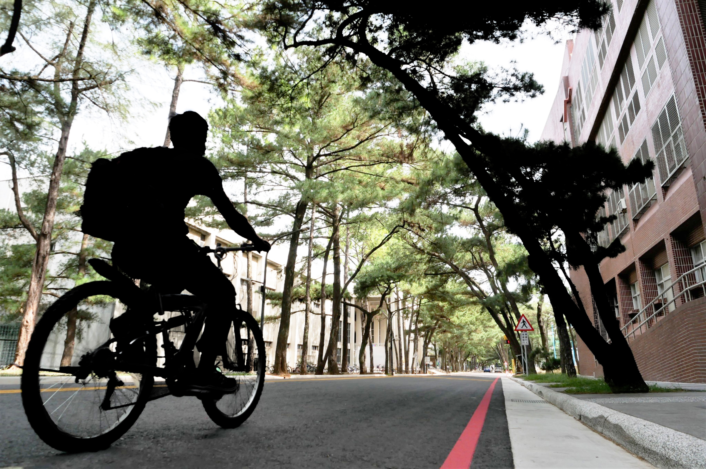 中央大學環校道路AC路面改善工程,榮獲第22屆工程會金質獎土木類佳作的殊榮。照片總務處提供