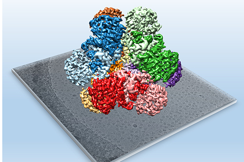 期刊封面「次奈米」蛋白質酵素3D立體結構描繪，猶如一幅藝術創作般精彩呈現，讓人驚艷！照片陳青諭老師提供
