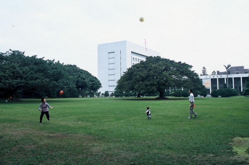 綠色草坪