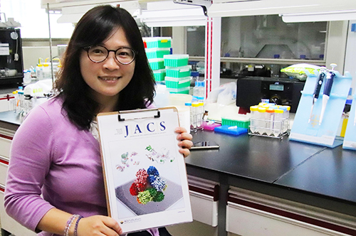 中央大學生科系陳青諭助理教授與中研院蔡明道院士共同合作的研究成果,登上最新一期《美國化學學會期刊》(Journal of the American Chemical Society,簡稱JACS)封面。陳薏安攝