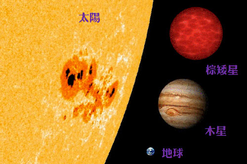 棕矮星與太陽、行星的大小示意圖，本次發現的棕矮星約1到2個木星質量。中大天文所陳文屏教授提供。