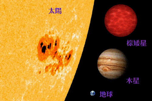 棕矮星與太陽、行星的大小示意圖,本次發現的棕矮星約1到2個木星質量。中大天文所陳文屏教授提供。