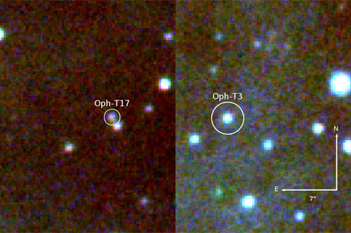 蛇夫座恆星形成區發現兩顆最年輕的棕矮星,編號Oph-T03、Oph-T17。中大天文所姜博識提供。