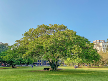 College of Engineering