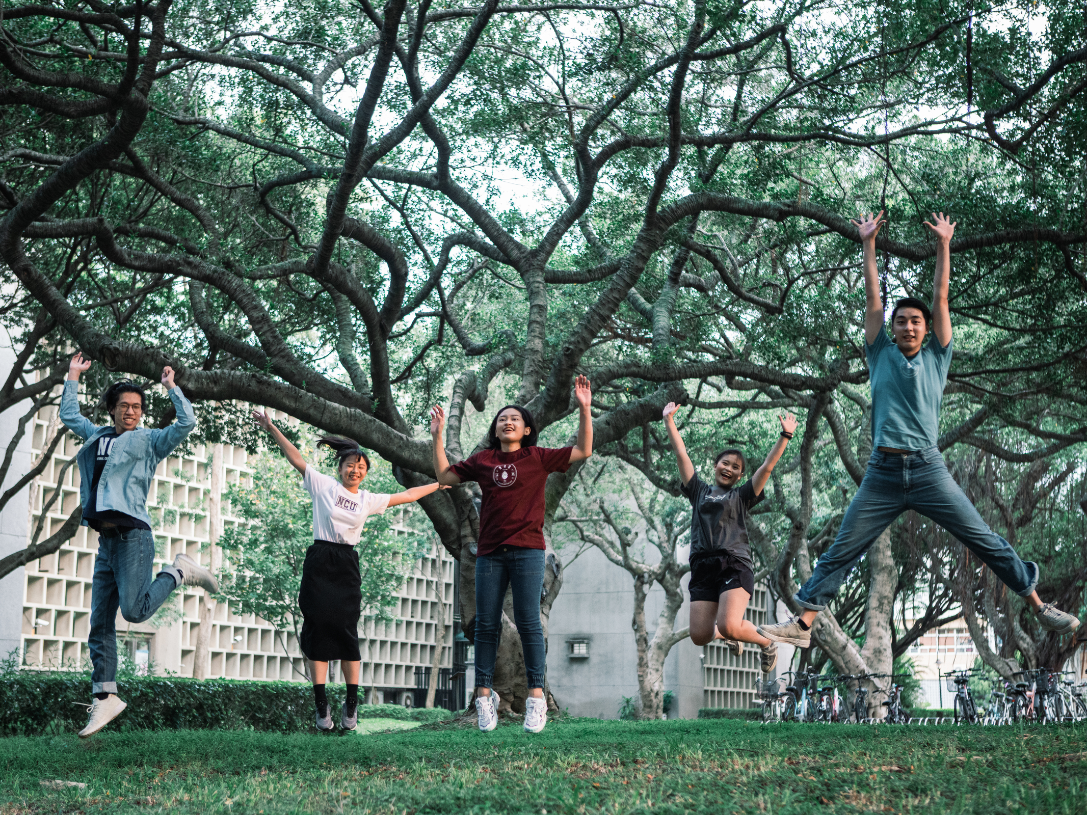 Tree Adoption Program – A Guardian for Every Tree